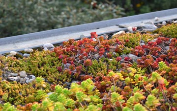 the cost of Clapham Green green roof installation