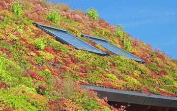 Clapham Green living roof systems